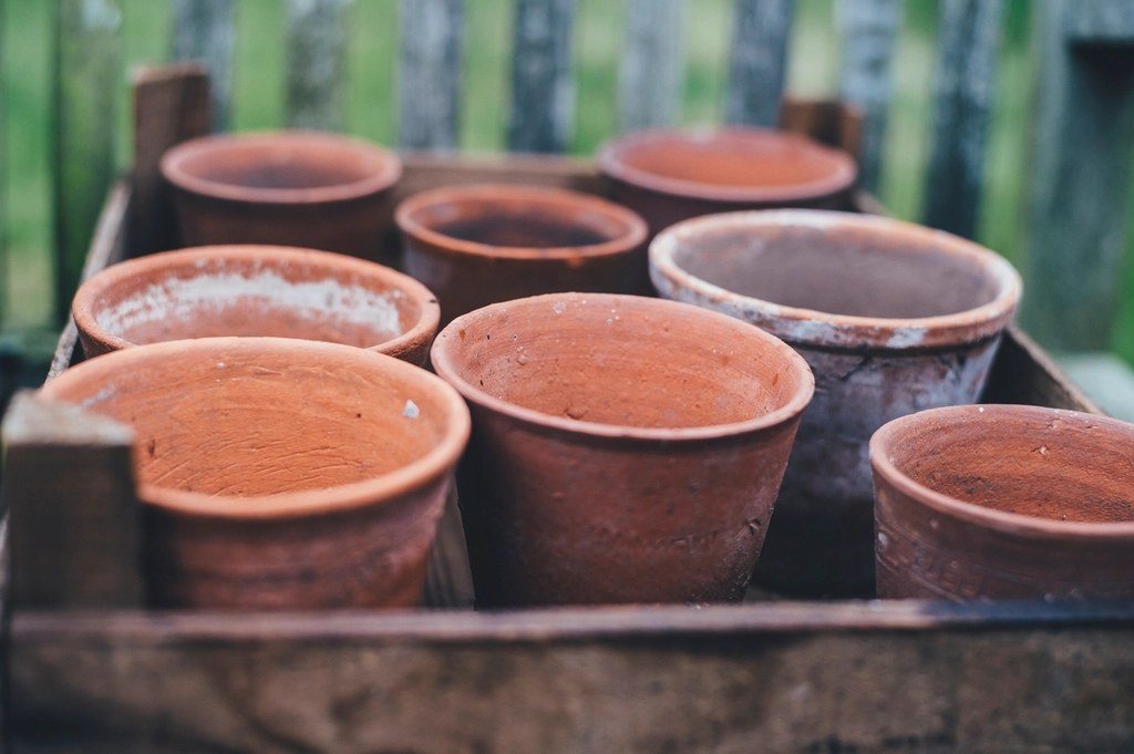 Empty terracotta pots wooden crate